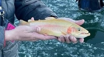 Ice Fishing at Apache